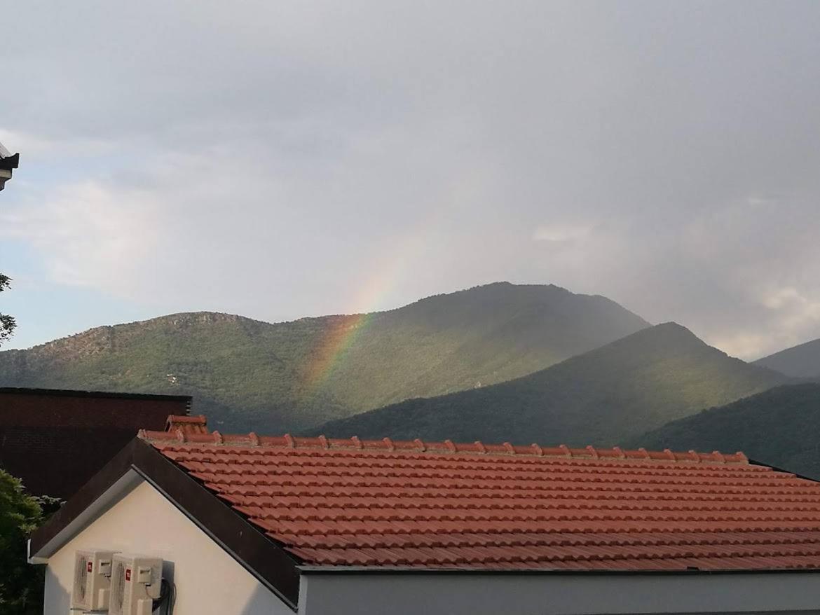 Apartments Apple Cat Montenegro Ko ビエラ エクステリア 写真