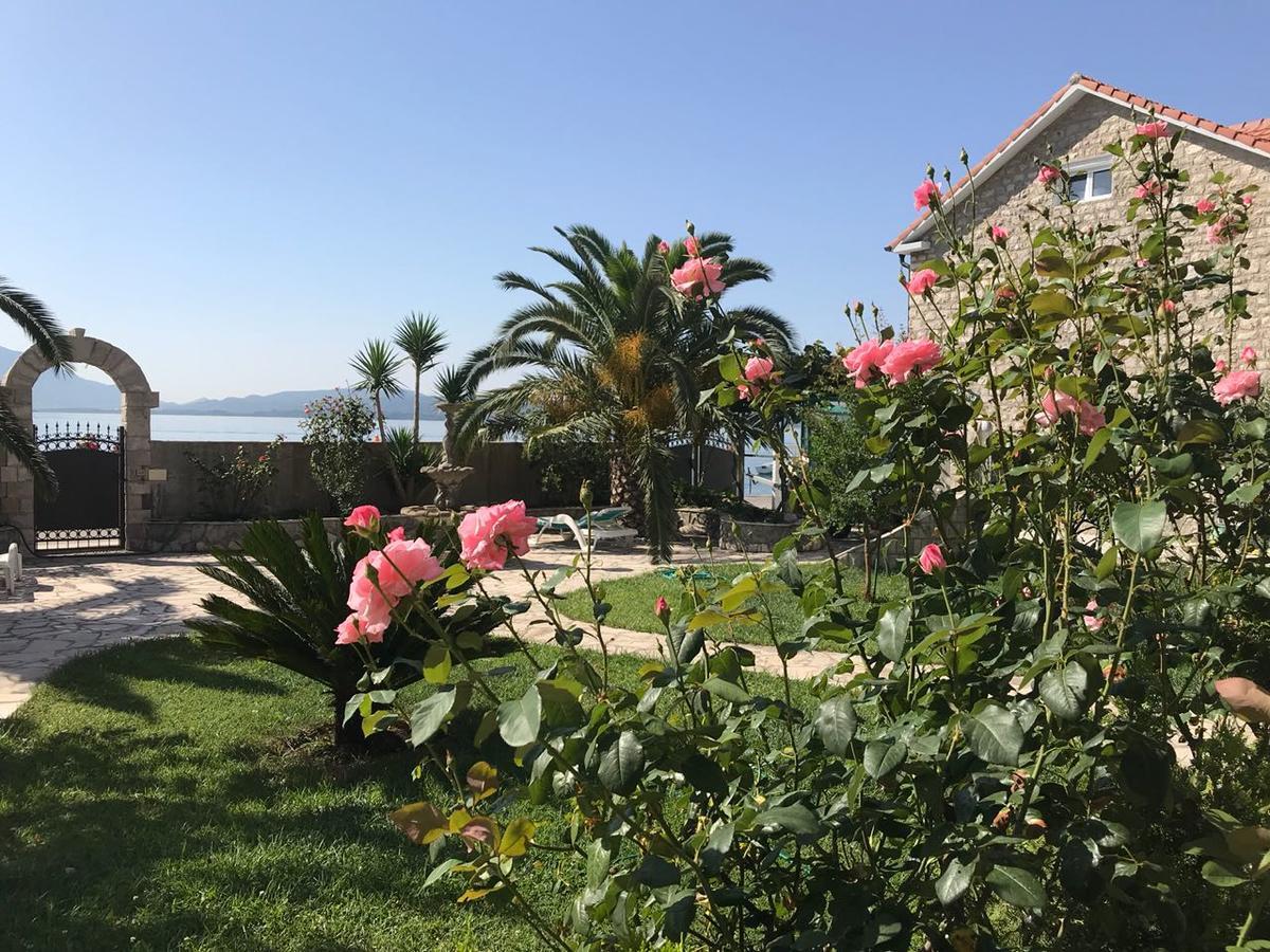 Apartments Apple Cat Montenegro Ko ビエラ エクステリア 写真